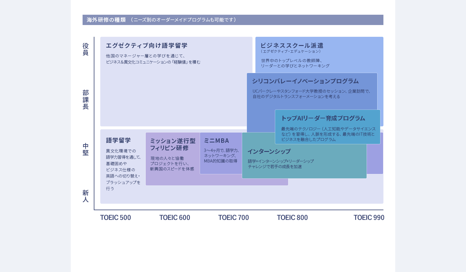 海外研修の種類（ニーズ別のオーダーメイドプログラムも可能です）